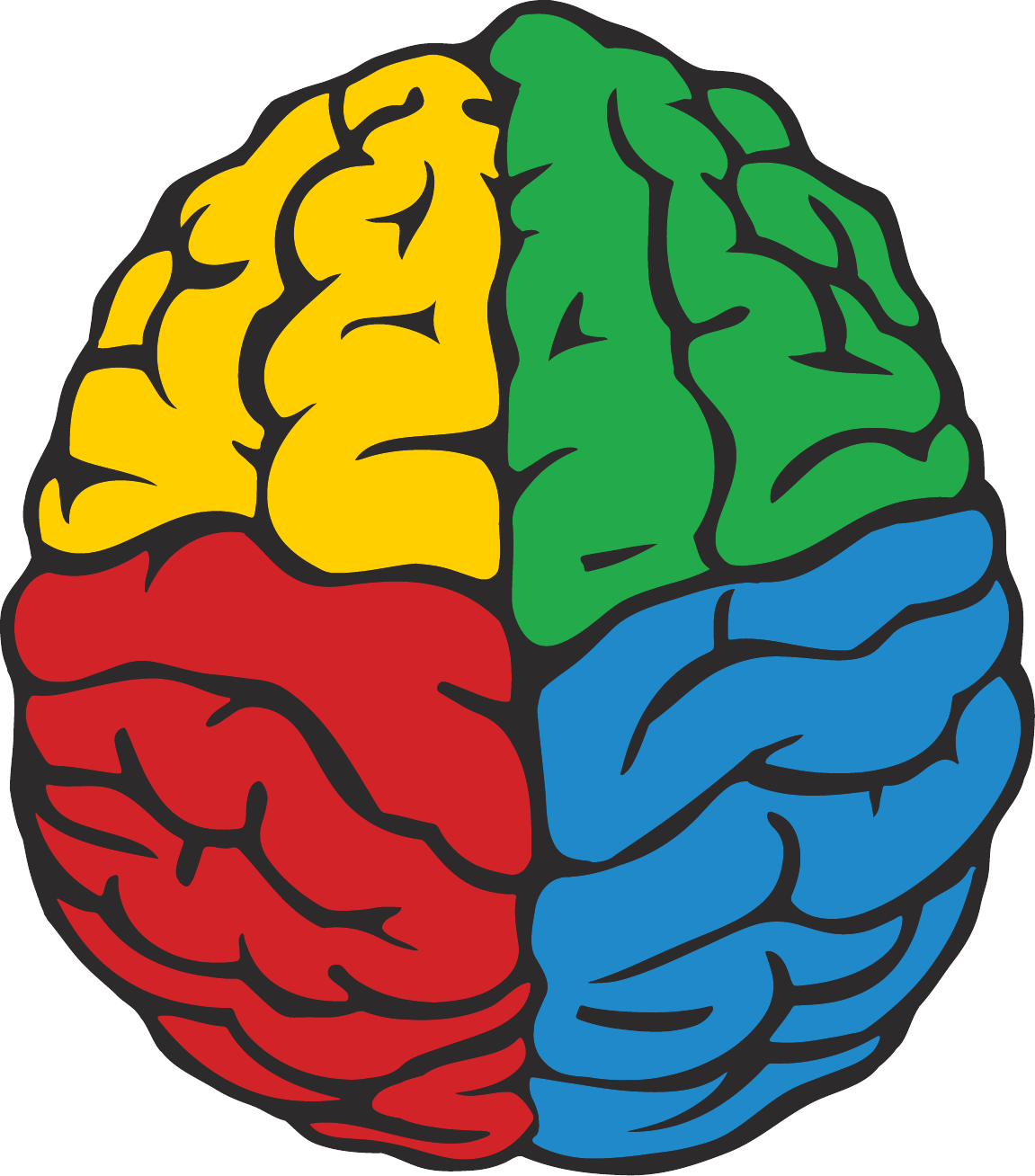 PRISM Brain Mapping, four-colour brain illustration
